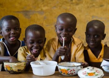 Top 5 African countries with lowest hunger level
