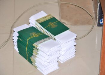 2026 Hajj: Kano govt allays pilgrims’ fears on visa issuance