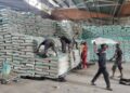 2026 farming season: Senator Barau distributes 53,040 bags of fertiliser free to farmers, others in Kano North