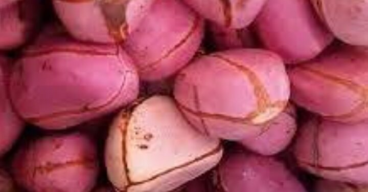 2026 Hajj: Kano warns pilgrims against taking kola nut to Saudi Arabia