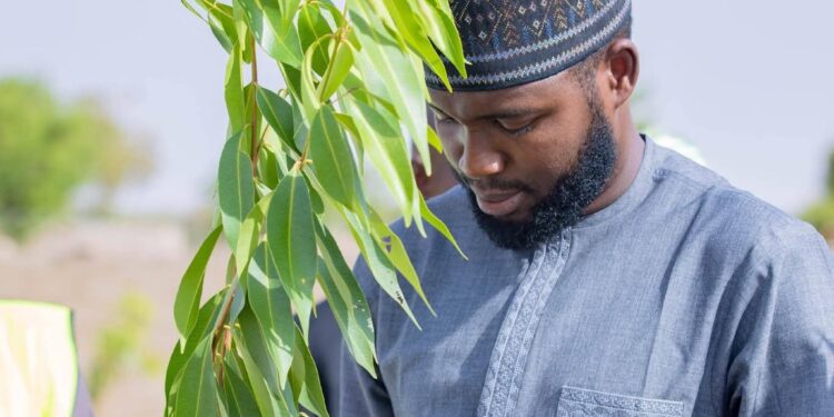 10m Trees Campaign: Kano govt opens application for seedlings