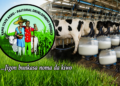 KSADP establishes 98 milk collection centres in 13 Kano LGAs – Official