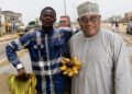 “My brother, better soup, na money kill am” — By Prof. Abdalla Uba Adamu