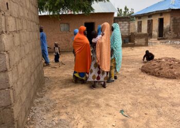 Romo, a Kano farming village where wives buy fertilizer for husbands