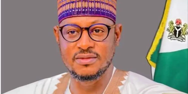 CDP: Inside Katsina development programme that took governance to grassroots