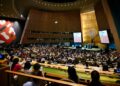 UNGA: Wata jiha a Arewacin Nijeriya ta yi baje-kolin damar zuba jari a harkar ƙaro, riɗi da sauran su