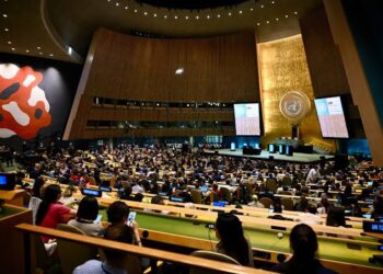 UNGA: Wata jiha a Arewacin Nijeriya ta yi baje-kolin damar zuba jari a harkar ƙaro, riɗi da sauran su