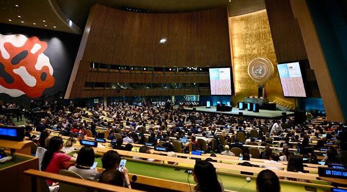UNGA: Wata jiha a Arewacin Nijeriya ta yi baje-kolin damar zuba jari a harkar ƙaro, riɗi da sauran su
