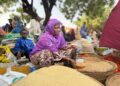 PHOTO: The Women’s Hands Moving Kano’s Biggest Vegetables Market