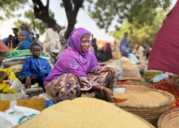PHOTO: The Women’s Hands Moving Kano’s Biggest Vegetables Market